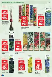Catalog Carrefour Pagină 27
