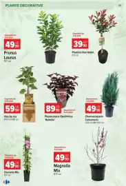 Catalog Carrefour Pagină 28