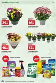 Catalog Carrefour Pagină 29