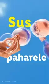 Catalog Lidl | Alcool Pagină 26