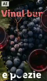 Catalog Lidl | Alcool Pagină 34