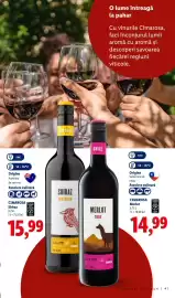 Catalog Lidl | Alcool Pagină 41