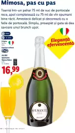 Catalog Lidl | Alcool Pagină 48