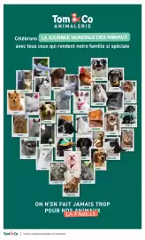 Catalogue Tom&Co page 8: Tom Co ANIMALERIE Célébrons LA JOURNÉE MONDIALE DES ANIMAUX avec tous ceux qui rendent notre
