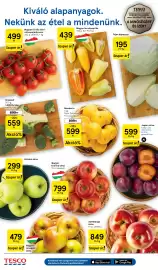 Tesco akciós újság hét 40 Oldal 2: Magyar fürtös bébi-szilvaparadicsom €499,00, Magyar lecsópaprika €439,00