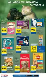 Tesco akciós újság | Szupermarket Oldal 6: Felix fantastic €1.999,00, Pedigree dentastix