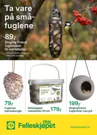 Felleskjøpet kundeavis Side 16: SingingFriend fuglemater Lisa grå €199,00, Felleskjøpet meiseboller €179,00