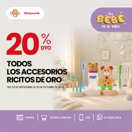 Folleto DelSol Página 1