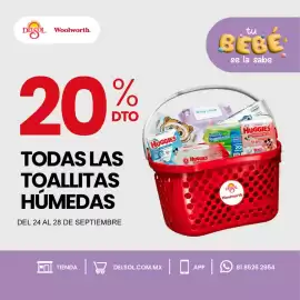 Folleto DelSol Página 2