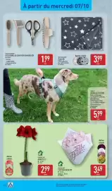 Catalogue ALDI semaine 41 page 34: HOME CREATION PLAID €3,99, GARDENLINE CHRYSANTHÈME €3,49
