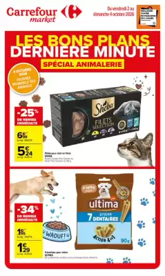 Catalogue Carrefour Market