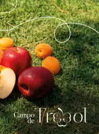 Catalogue Costco page 131