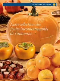 Catalogue Costco page 65