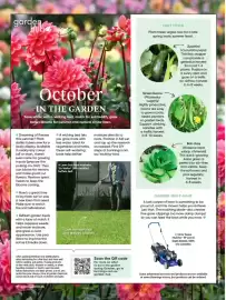 Bunnings catalogue Page 10