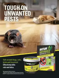 Bunnings catalogue Page 94