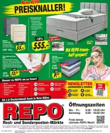 Repo Markt Prospekt woche 41 Seite 9