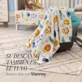 Catálogo Vianney semana 40 Página 2