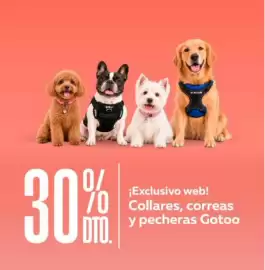 Catálogo Superpet Página 3