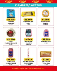 Catálogo Autoservicio Capo Página 5: Mensalac queso sardo €11.890,00, Salame t/ milan piemontesa €1.675,00