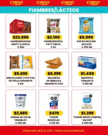 Catálogo Autoservicio Capo Página 6: Yogur gran compra €1.399,00, Grangys medallones / patitas de pollo €9.699,00