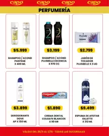 Catálogo Autoservicio Capo Página 8: Plusbelle shampoo / acond plusbelle escencia €3.199,00