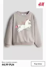 H&M gazetka tydzień 40 Strona 9: Bluza z meszkiem wewnątrz H & M €44,99