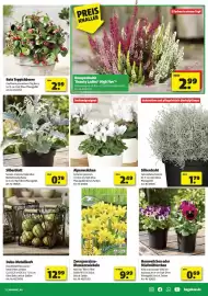 Leitermann Baumarkt Prospekt woche 40 Seite 17