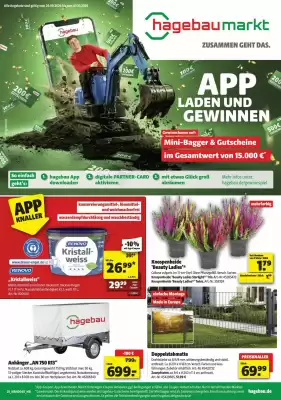 Leitermann Baumarkt (gültig bis 3-10)