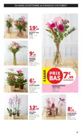 Catalogue Bi1 page 19: BOUQUET COMPOSE DOUCE IDEE €7,99, LA PLANTE PLANTE FLEURIE €6,99