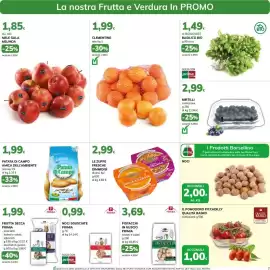Volantino Basko Pagina 7: Zuppa fresca Dimmidisì €2,99, Basilico Bio €1,49