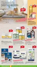 Raiffeisen Markt Prospekt Seite 3