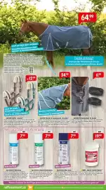Raiffeisen Markt Prospekt Seite 5