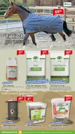 Raiffeisen Markt Prospekt Seite 6