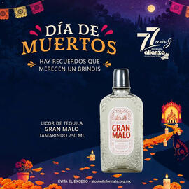 Folleto Bodegas Alianza Página 4