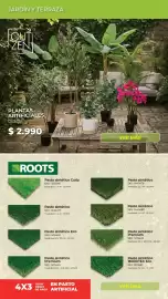 Catálogo Easy Página 7: JARDÍN Y TERRAZA OUT ZEN OUTDOOR FURNITURE PLANTAS ARTIFICIALES DESDE $2.990 VER MAS ROOTS Pasto