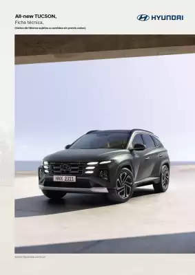 Hyundai (válido hasta 13-10)