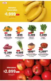Catálogo Coto semana 40 Página 3: Naranja para jugo cod: 61005 *1 €899,00, Cebolla de verdeo cod: 46634 €1.699,00