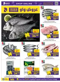 Abu Dhabi Coop leaflet Page 26