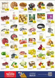 Nesto catalogue Page 2