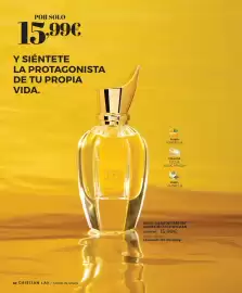 Catálogo Cristian Lay Página 62