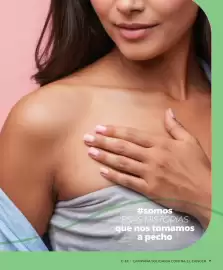 Catálogo Cristian Lay Página 7