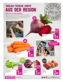 Sutterlüty Flugblatt woche 40 Seite 16: Gauensteiner Hof Karotten lose €1,59, Insel Reichenau Radiccio €1,49
