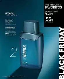 Catálogo Ésika Página 17