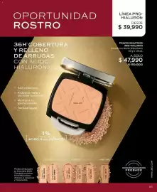 Catálogo L'bel Página 85