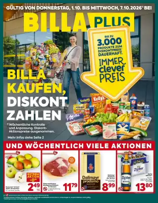 Billa (gültig bis 7-10)