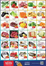 Nesto catalogue Page 2