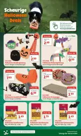 Fressnapf Flugblatt Seite 2: FIT+FUN Halloween Katzenspielzeug €0,99, FIT+FUN Halloween Hundespielzeug €2,99
