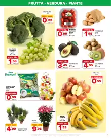 Volantino Iperal Pagina 7: Kiwi Hayward €4,95, Conifere Miste €4,99