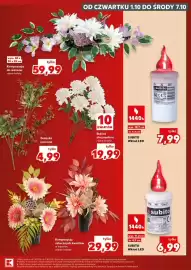 Kaufland gazetka tydzień 40 Strona 19