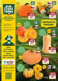 Billa leták týden 40 Strana 4: Česká farma dýně mexická €59,90, Česká farma Dýně okrasná €29,90